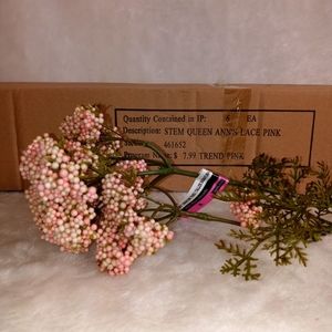 Pack of 6 30" Queen Ann's Lace Pink Silk Long Stem Flower